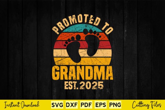 Promoted to Grandma 2025 Vintage Retro Graphics